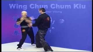 Wing Chun kung fu Chum Kiu form applications Lessons 3-6