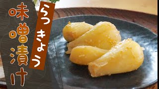 【らっきょうの味噌漬け】漬け方（作り方）とレシピ ⏰ 漬け込み期間　４～５日