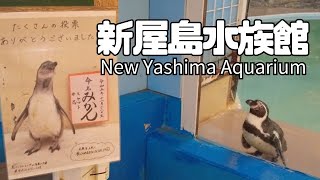 【香川】新屋島水族館　屋島山頂の水族館と84番札所 屋島寺 見どころいっぱい