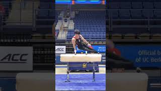 Asher Hong (Stanford) on Pommel Horse vs Cal 1/13/25 #pommelhorse