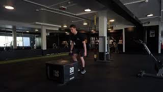 DB Accentuated Eccentric Box Jump