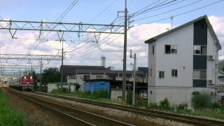 201094　　上越線　　塩沢～六日町　　回9724レ　　EF81 95+PC24+EF64 37