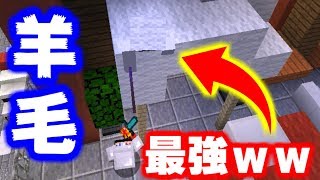 【マインクラフト】かくれんぼで羊毛が最強な場所見つけたｗｗｗ【マイクラ実況】