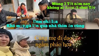 #430 Mùng 3 Tết năm nay gia đình không được đi chúc Tết .Một ngày của Đặng Ngọc