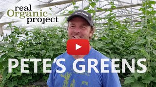 Pete's Greens | Craftsbury, VT | Know Your Farmer