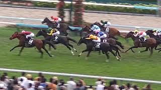 札幌競馬現地映像　日高ステークス勝ち馬セッタレダスト丹内祐次20230902