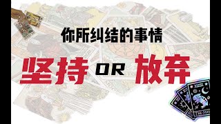 塔罗｜这件事情是应该坚持继续下去，还是放弃？应该怎么选择？