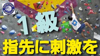 指先しかかからない接地面の少ないホールドに触れることも重要です。純粋な指の力を鍛えることはもちろんですが、体の力を指先まで伝える神経系統も養えます。