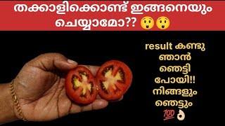 തക്കാളി കൊണ്ട് ഇങ്ങനെയും ചെയ്യാമോ?? 😲😲 കിടിലെൻ സൂത്രം 👌🏻ഇങ്ങനെ ചെയ്തു നിക്കും നിങ്ങളും ഞെട്ടു💯