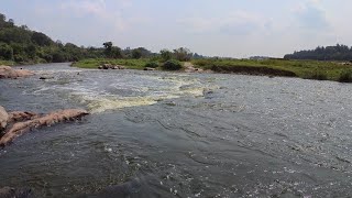 The Majestic Ponnaiyar River: A Scenic Adventure