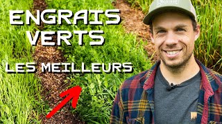 Engrais verts : le secret d’un sol en santé ! 🌱