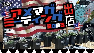 【イベント出店】アガベをアメマガミーティング2023に出店！アメ車がカッコよすぎ！