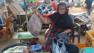 मिरकरवाडा जेट्टी FISH MARKET ( RATNAGIRI)