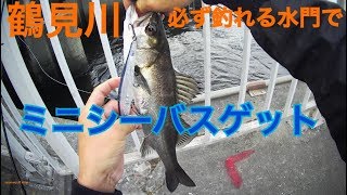 鶴見川の必ず釣れる水門でミニシーバス釣り    鶴見川シーバス釣り ポイント紹介