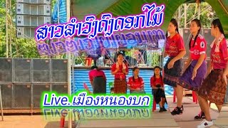 Live.เมดเล่ย์รวมความม่วนลำวงลาว.สาวดงดอกไม้,เมืองหนองบก