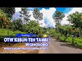 Perjalanan Menuju Kebun Teh Tambi Wonosobo dari Parakan, Temanggung