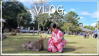 Travel 🇯🇵. Nara & Kyoto 나라 & 교토 VLOG ep. 2 | Nara Park | Kofuku-ji | Kyo Unawa Honten | Ninenzaka