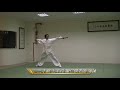 三才劍 上半段 聰明打法 謝仁傑 老師 fightsmartly san cai sword