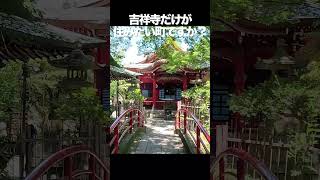 色々な街を見たけど、やっぱり吉祥寺！　井の頭公園がこんな近いって、素晴らしい♪　【ホノルルマラソンへの道】 #ハワイ #ランニング #ホノルル #Shorts