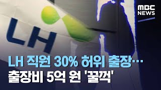 LH 직원 30% 허위 출장…출장비 5억 원 '꿀꺽' (2021.03.10/뉴스데스크/MBC)