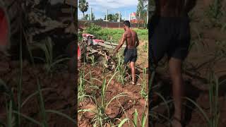 ពូនរងអំពៅដោយប្រេីគោយន្ត tractor Khmer farmer  kubota in cambodia