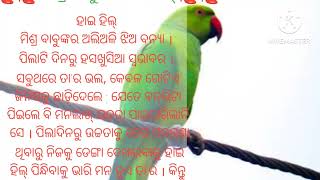 ମୀଶ୍ରୋ ବବୁରୋ ହାଇ ହିଲ୍#misro baburo hai hil#misro babu motivational story#