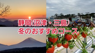 【日帰り旅】冬の静岡県　沼津・三島を満喫してきた【イチゴ狩り】