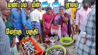 மண்டபம் தென்கடல் துறைமுகத்தின் மீன் ஏலம் (மேற்கு பகுதி) | Mandapam fish market in South #kadalrasa