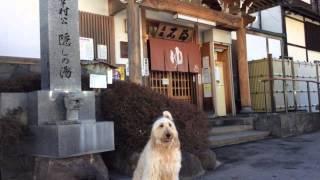 ひな 別所温泉巡り