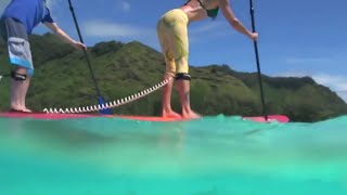 Paddling with Sharks in Tropical Mo'orea Tahiti