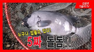 환상의섬 소구을비도!                 5짜돌돔! 누구나 잡을수 있습니다