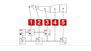 How to calculate standard time through MOST (General Move)#most #study