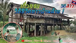 เยือนหมู่บ้านในชนบทชมการตำข้าวแบบโบราณการหาอาหารที่หมู่บ้านร้ายเมืองบัวละพาแขวงคำม่วนEP30