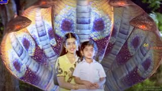 Divyaa Unni & Meena Telugu Movie Interesting Scene | Neti Chitralu