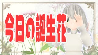 【花言葉】１１月６日の誕生花は？／花白もか