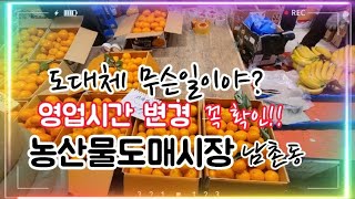 남촌농산물도매시장 무슨일이야? 영업시간 변경 확인/겨울철 과일 시세