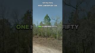 Double lots for sale in Florida for $11900. Dm for more. #fyp #realestate #property #forsale #land