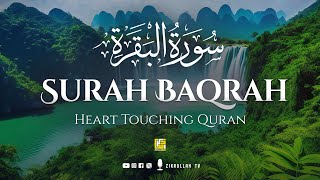 Best Quran Recitation of Surah Al-Baqarah Full (سورة البقره) | Zikrullah TV