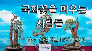 국화꽃을피우는사람들