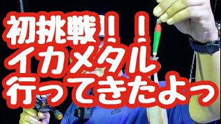 初挑戦！イカメタル行ってきたよ。福井県小浜。blind fisherman