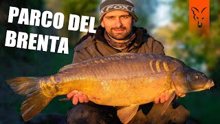 48 ore al PARCO DEL BRENTA con Luca Montanari