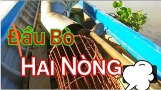 Đầu Bò Bơm Nước Hai Nòng | Tịnh Nguyễn