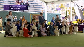 Junior Showmanship Preliminaries Ring 2 | Breed Judging 2023