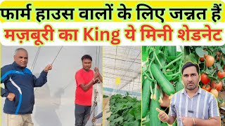 🔥मिनी शेडनेट हाउस देगा : छोटे किसानों को कमाई का जैकपॉट!🌿💰 #shadenet #farming #polyhouse #farmhouse