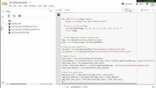 【PYTHON OPENCV】Face detection using haar feature based cascade classifiers