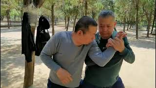 中国传统太极拳-洪传陈式太极拳-实战推手演练Traditional Chinese Tai Chi-Hong Chuan Chen Style Tai Chi-Actual