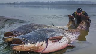 SILURI GIGANTI OVER 100 KG IN PESCA VERTICALE D'INVERNO  - HD by CATFISHING WORLD