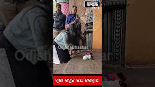 ମୂଷା କହୁଛି ଜୟ ଜଗନ୍ନାଥ #mouse #jayjagannath #odisha #odishabhaskar