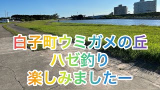 【千葉白子町・ウミガメの丘、南白亀川河口】ハゼ釣りを楽しみましたー、時期は9月。釣り人も多く人気の場所ですね。駐車場もあり子供連れでも安心の場所です。日差しがまだ強く、日焼けしました。毎年楽しんでます