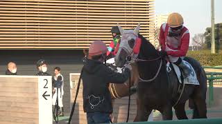 4歳以上2勝クラス 現地レース後・検量室前動画 ジェットエンブレム コパシーナ ノーベルプライズ グランドストローク レイテントロアー 2022/2/26 中山競馬場 12R